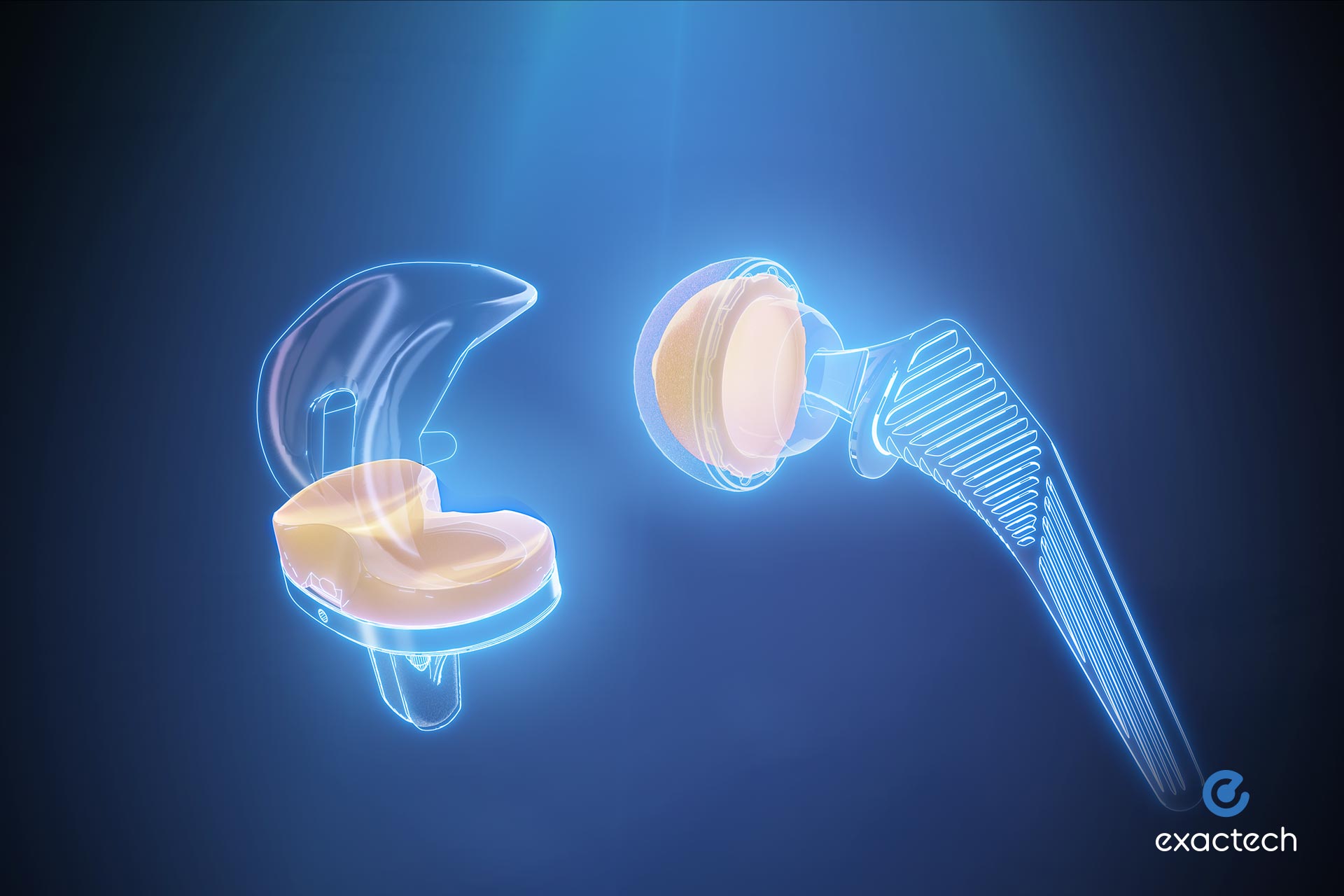 Advita Vitamin E Polyethylene Technology for Hip and Knee Replacement